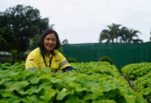 Di Balik Hijaunya Tambang Batu Hijau