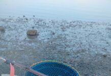 Seorang Warga Tarusa Diduga Hilang di Laut